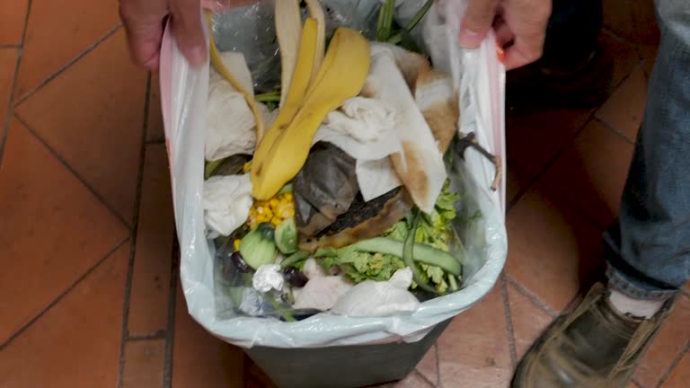 Reliable Spring Lake Park, MN Junk Removal Services Solutions