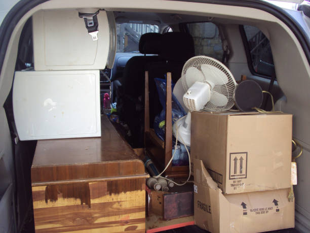 Best Hoarding Cleanup  in Spring Lake Park, MN